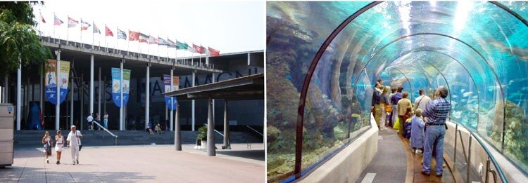 Aquàrium