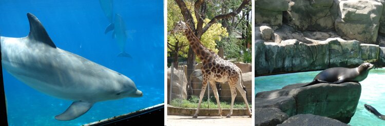 Zoo de Barcelona